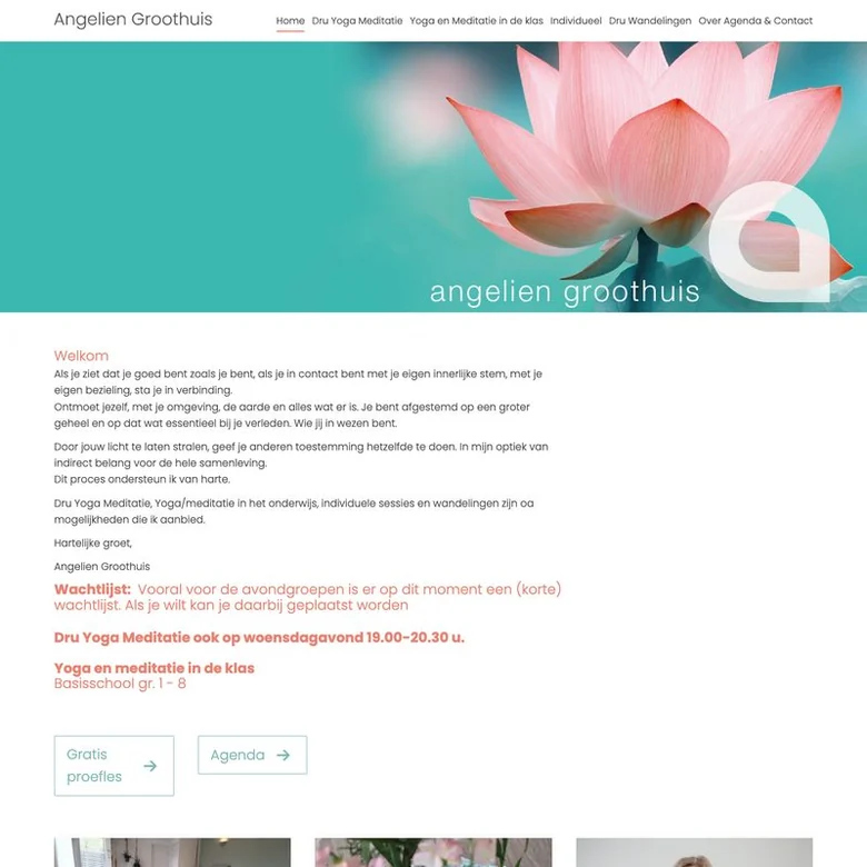 Schermafbeelding van de website van angeliengroothuis