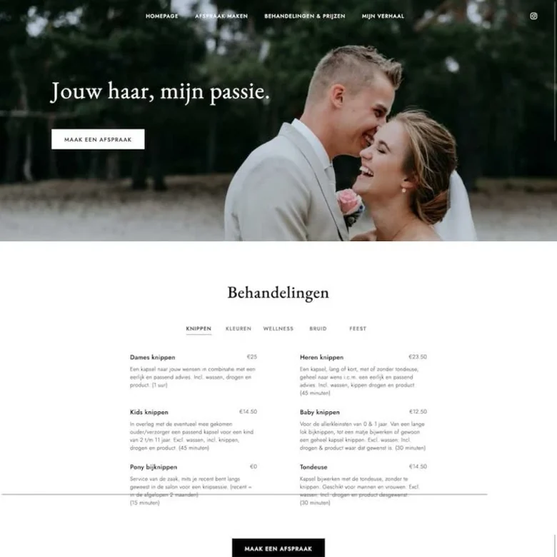 Schermafbeelding van de website van anisabiezehairstyling