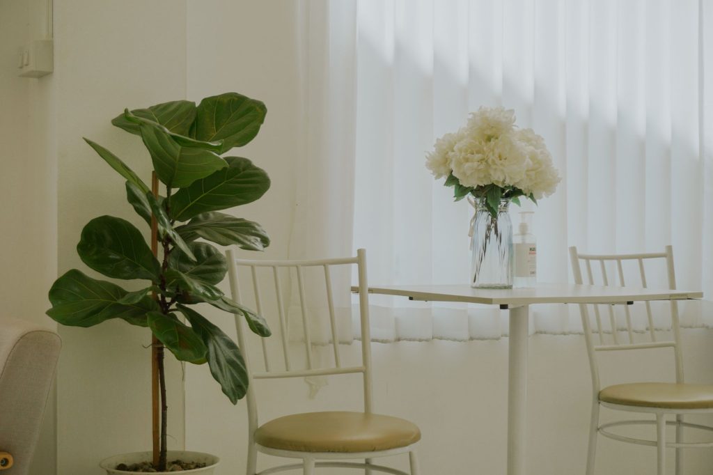Rustige wachtruimte met stoelen, een plant en bloemen