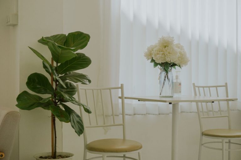 Rustige wachtruimte met stoelen, een plant en bloemen