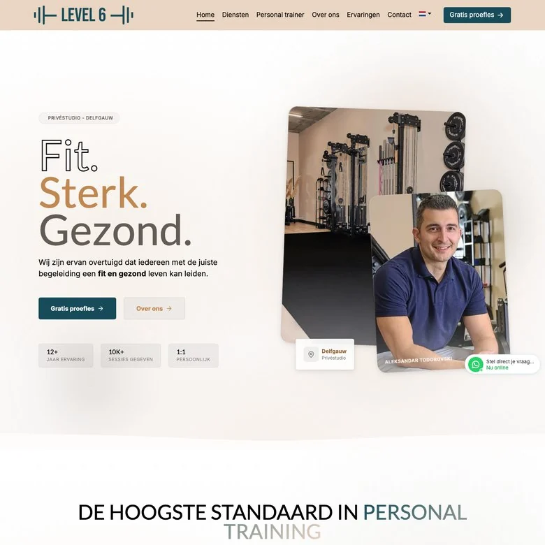 Schermafbeelding van de website van Level Six